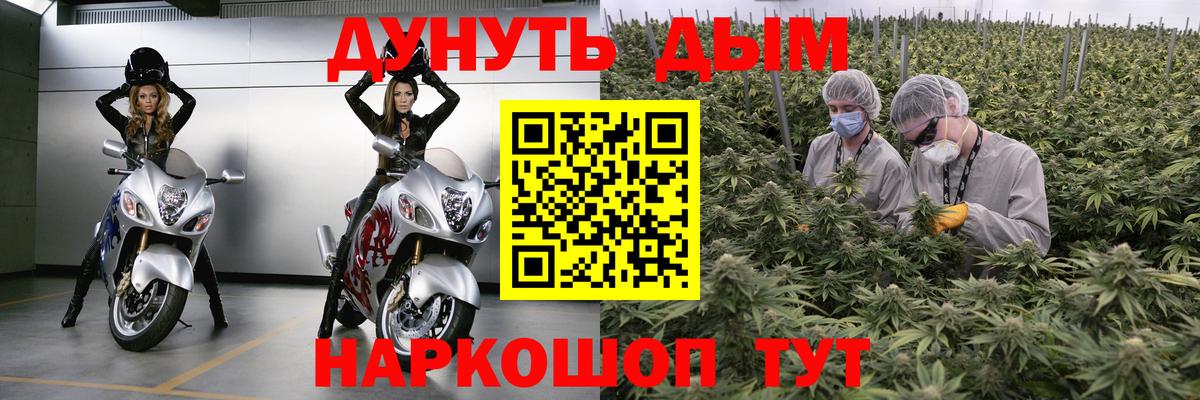 МАРИХУАНА марихуана  Бошки Шишки SATIVA & INDICA  Вход с VPN  Белгород  Марихуана VHQ 